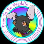 Profile avatar of ready_freddie_