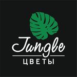 Profile avatar of jungle.by