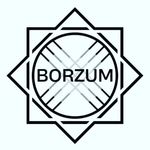 Profile avatar of borzum.kz