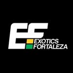 Profile avatar of exoticsfortaleza