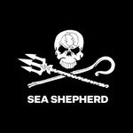 Profile avatar of sea_shepherd_italia