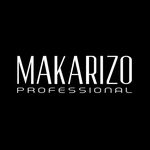 Profile avatar of makarizoprofessional