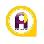 Profile avatar of ameyawtv
