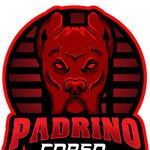 Profile avatar of padrinocorso_kennel