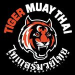 Profile avatar of tigermuaythai