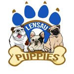 Profile avatar of lensau_puppies