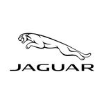 Profile avatar of jaguar_india