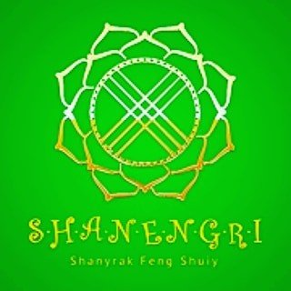 Profile avatar of shanengri