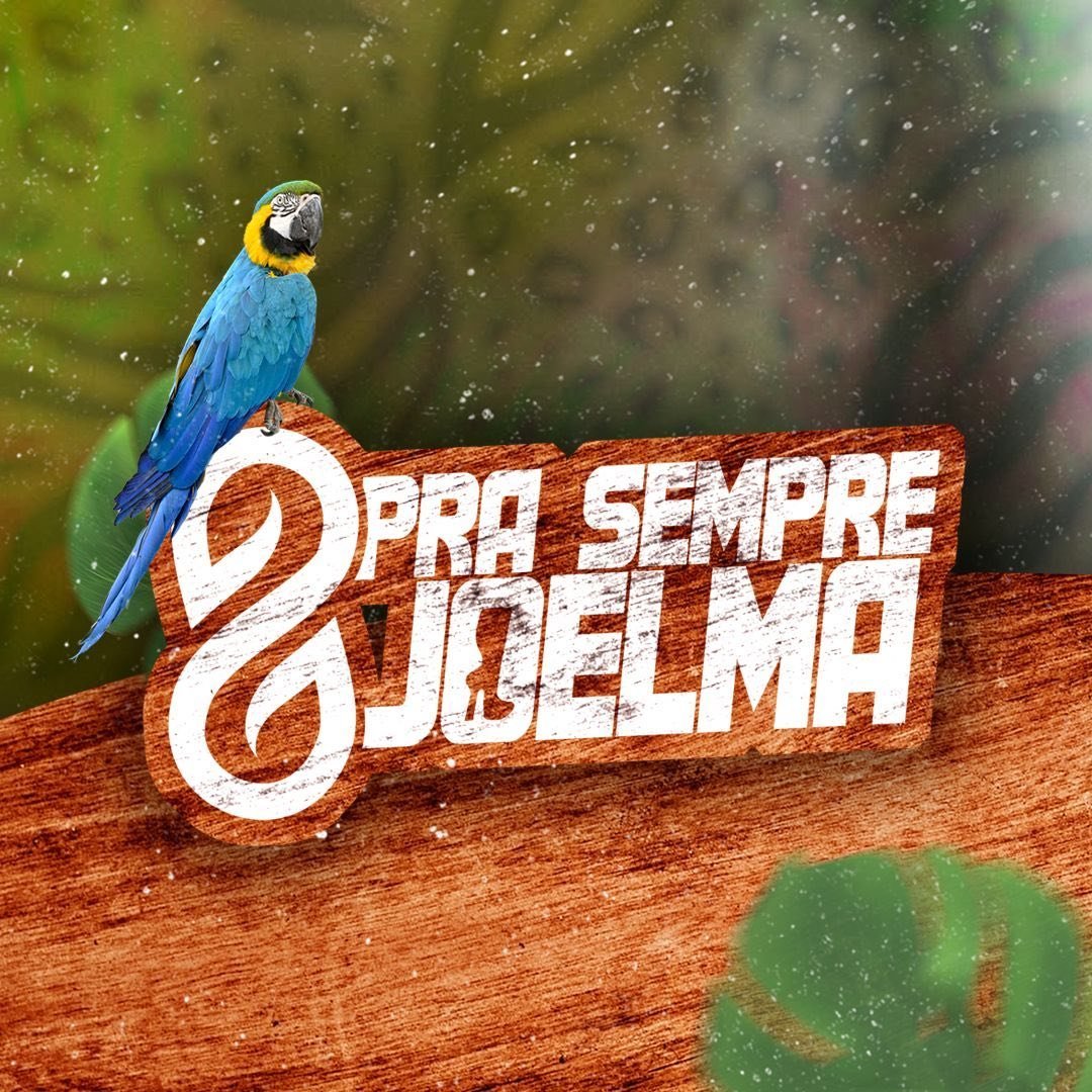 Profile avatar of fcprasemprejoelma