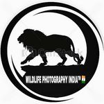 Profile avatar of wildlife_photography_india