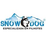 Profile avatar of snowdogfilhotes