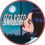 Profile avatar of ozledinsandim