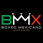 Profile avatar of boxeomexicano