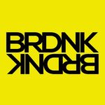 Profile avatar of brdnkvision