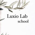 Profile avatar of luxiolab_school