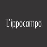 Profile avatar of @ippocampoedizioni