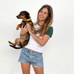 animalstudio_es