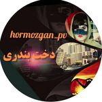 Profile avatar of hormozgan_pv
