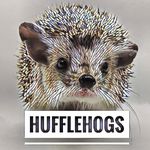 Profile avatar of hufflehogs