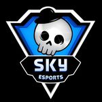 Profile avatar of @skyesportsgaming