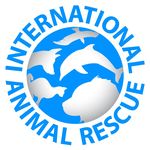 Profile avatar of international_animal_rescue