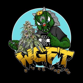 One of the top publications of @wg_weedguardiansfamilytree which has 53 likes and 6 comments