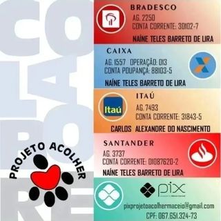 One of the top publications of @projetoacolher which has 33 likes and 0 comments