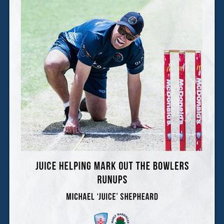 One of the top publications of @cricketnsw which has 239 likes and 3 comments