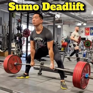 One of the top publications of @deadlift_panda which has 29.2K likes and 353 comments