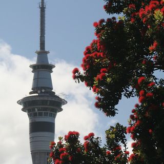 One of the top publications of @skytower_nz which has 528 likes and 4 comments