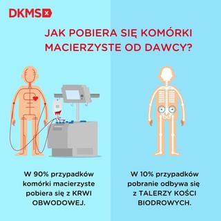 One of the top publications of @dkms_pl which has 308 likes and 1 comments