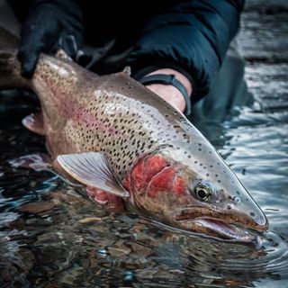 One of the top publications of @epicflyrods which has 99 likes and 1 comments