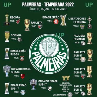 One of the top publications of @fut.palmeirense which has 4.5K likes and 26 comments