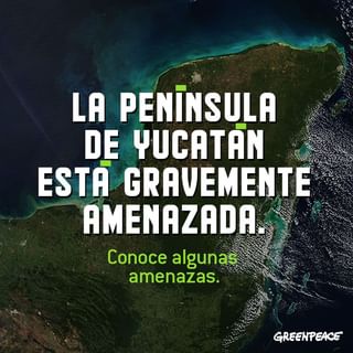 One of the top publications of @greenpeacemx which has 3.9K likes and 72 comments