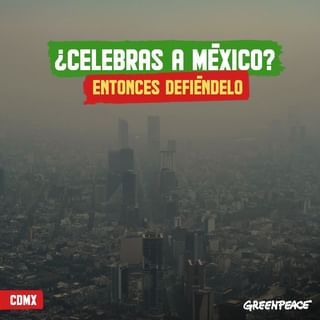 One of the top publications of @greenpeacemx which has 4.6K likes and 40 comments