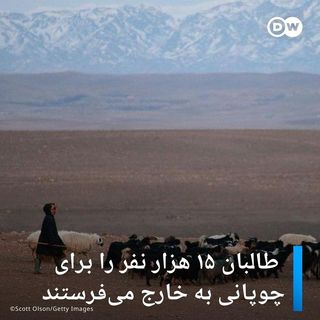 One of the top publications of @afghanistan.my_passion which has 532 likes and 41 comments