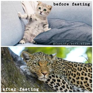 One of the top publications of @fasting_with_alice which has 461 likes and 42 comments