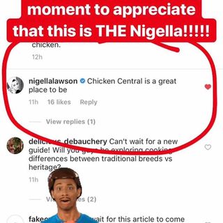 One of the top publications of @chicken.central which has 256 likes and 37 comments