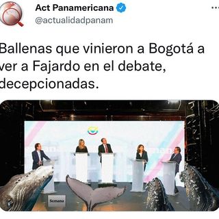 One of the top publications of @actualidadpanamericana which has 5.1K likes and 58 comments