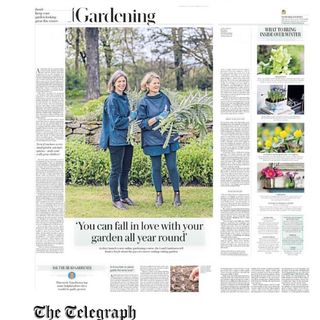 One of the top publications of @thelandgardeners which has 909 likes and 22 comments