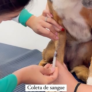 One of the top publications of @santevievet which has 38 likes and 6 comments