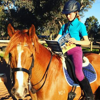 One of the top publications of @sustainableequitation which has 82 likes and 1 comments