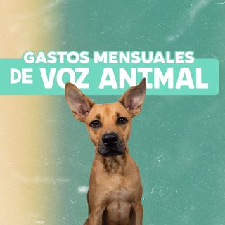 One of the top publications of @vozanimalperu which has 2.4K likes and 53 comments