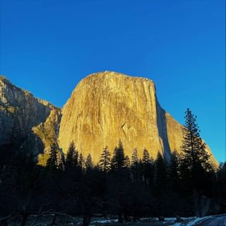 One of the top publications of @yosemitenps which has 22.5K likes and 87 comments