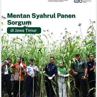 One of the top publications of @kementerianpertanian which has 1.8K likes and 36 comments