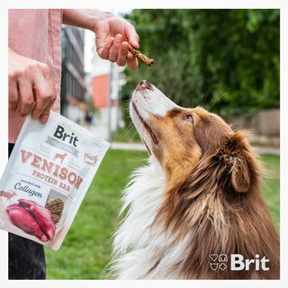 One of the top publications of @britpetfood which has 168 likes and 7 comments