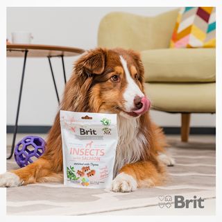 One of the top publications of @britpetfood which has 134 likes and 0 comments