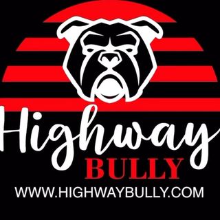 One of the top publications of @highwaybully100 which has 50 likes and 9 comments