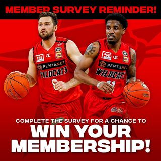 One of the top publications of @perthwildcats which has 170 likes and 0 comments