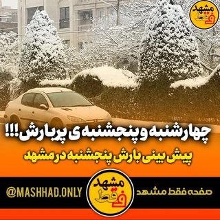One of the top publications of @mashhad.only which has 3.1K likes and 62 comments